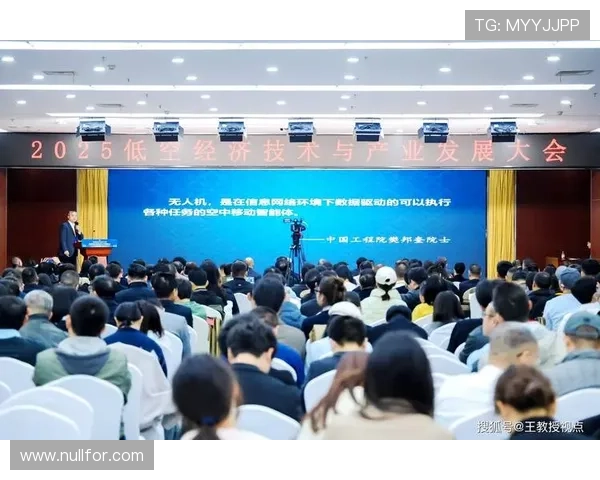 企业家创新实践推动区域经济高质量发展动力机制与战略路径研究探